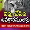 About Neevu Chesina Upakaramulaku Song